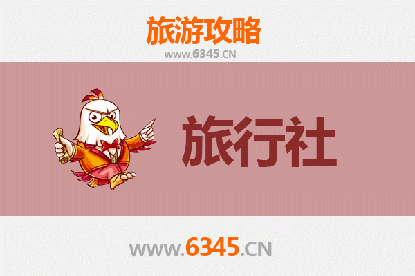 衡水阜城本地旅行社推荐及深度游玩攻略