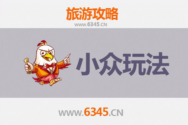 衡水阜城小众探秘：运河古韵与田园野趣的深度体验